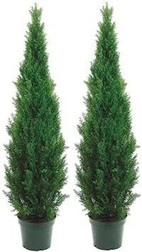 Two 5 Foot Outdoor Artificial Cedar Topiary Trees [...]