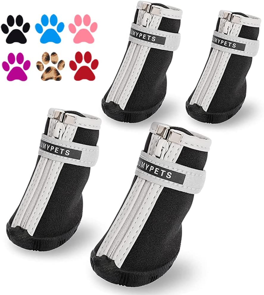 QUMY Dog Shoes for Small Dogs, Puppy Dog Boots & Paw [...]