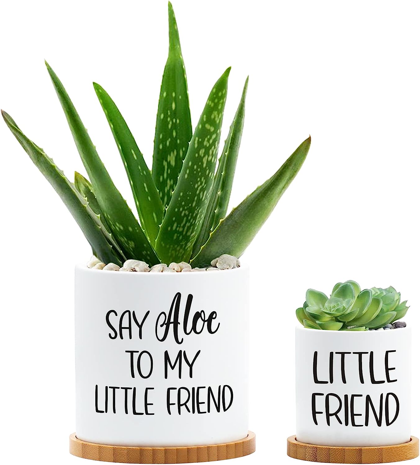 Tuitessine Say Aloe to My Little Friend Planter Plant [...]