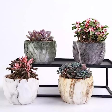 BeUGarden Set of 4 Ceramic Succulent Planter Pots with [...]