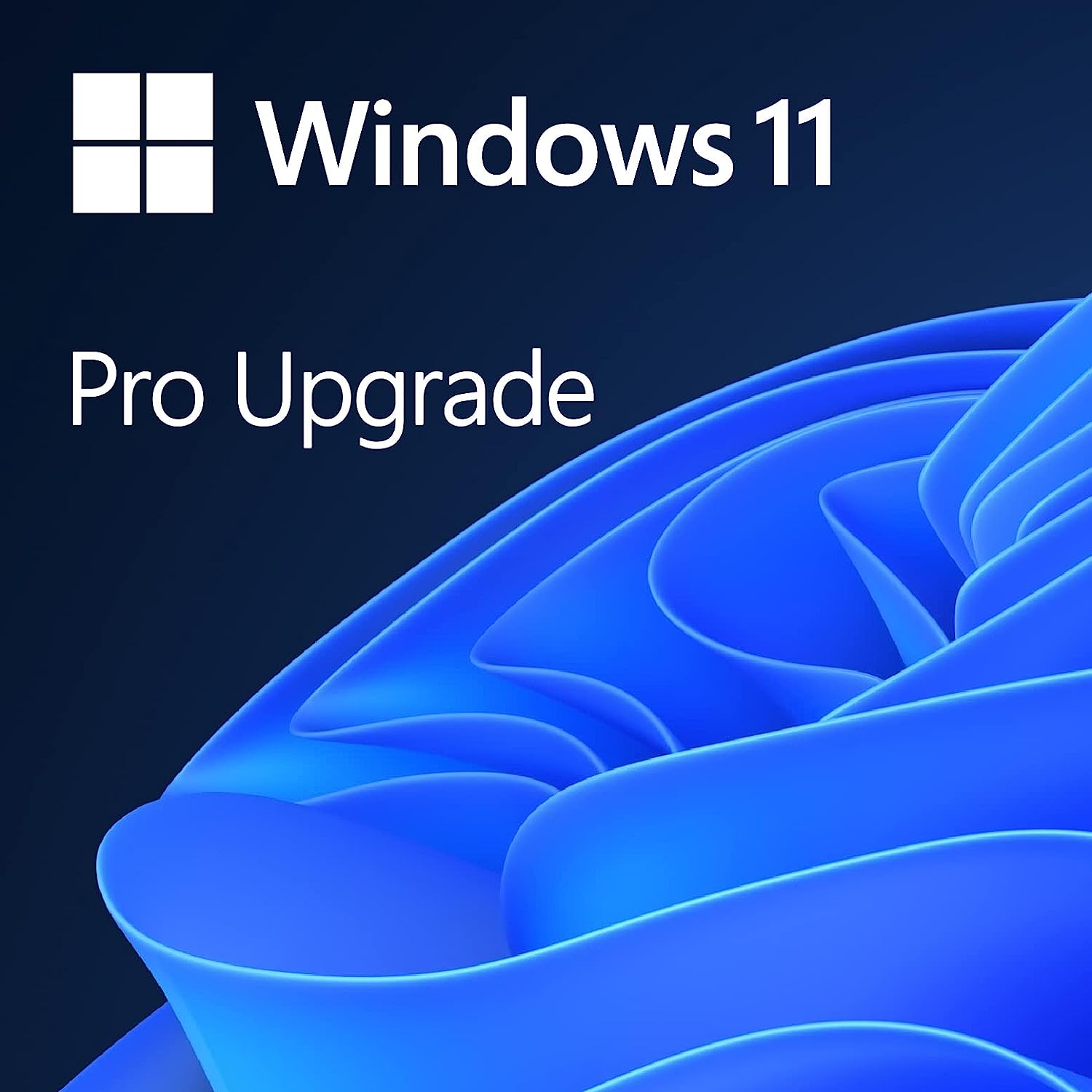Windows 11 Pro Upgrade, from Windows 11 Home (Digital [...]