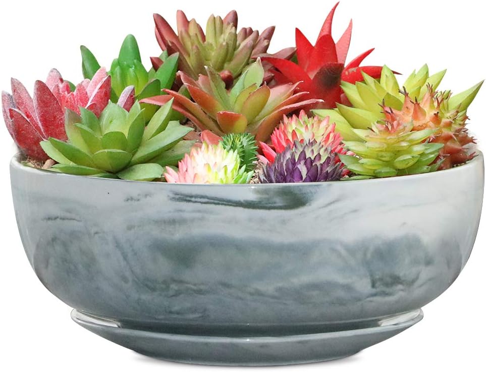 G EPGardening 8in Marble Pattern Large Round Succulent [...]