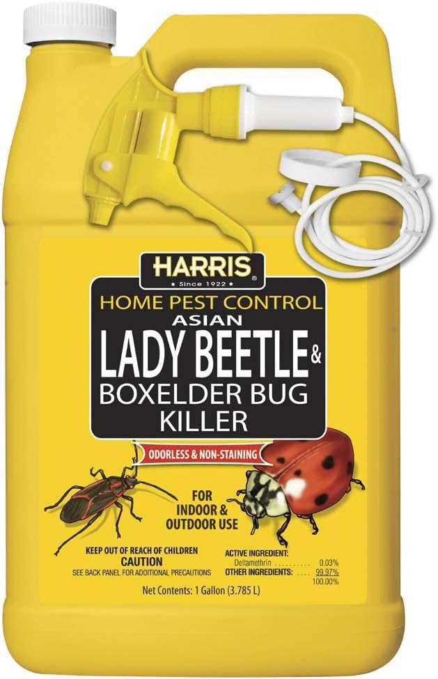 HARRIS Asian Lady Beetle, Japanese Beetle, and Box [...]