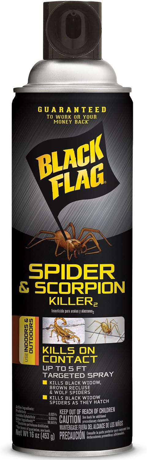 Black Flag Spider and Scorpion Killer, Aerosol, 16-oz