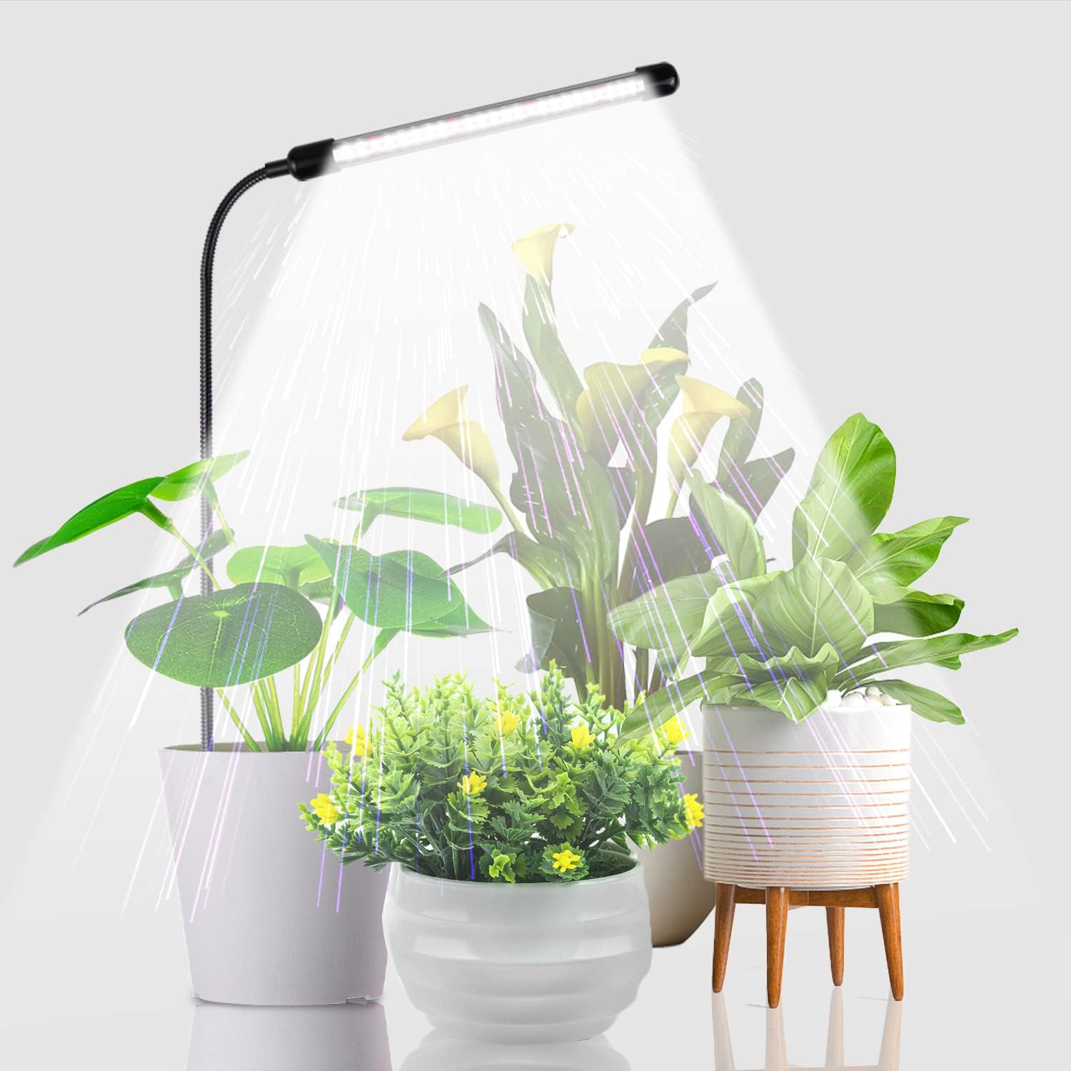 Juhefa Grow Light for Indoor Plants Growing, 6000K [...]