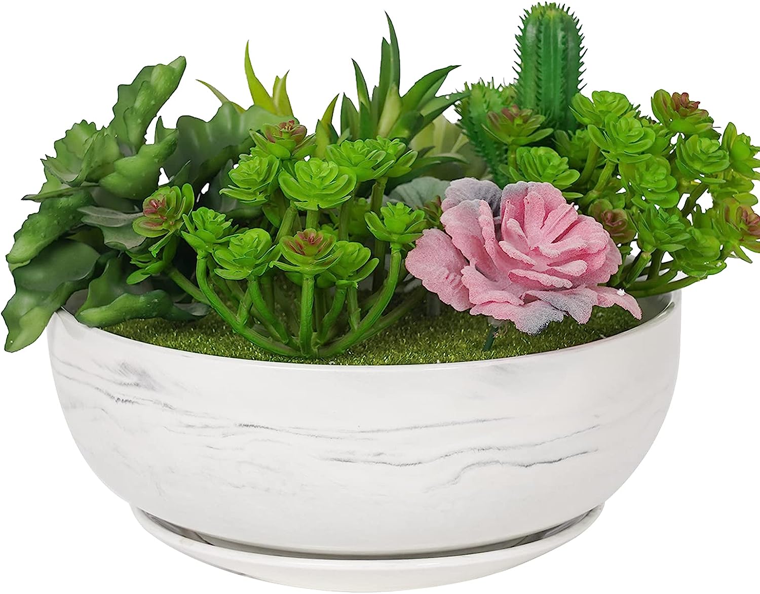 Fengson 8in Grey Marble Pattern Large Round Succulent [...]