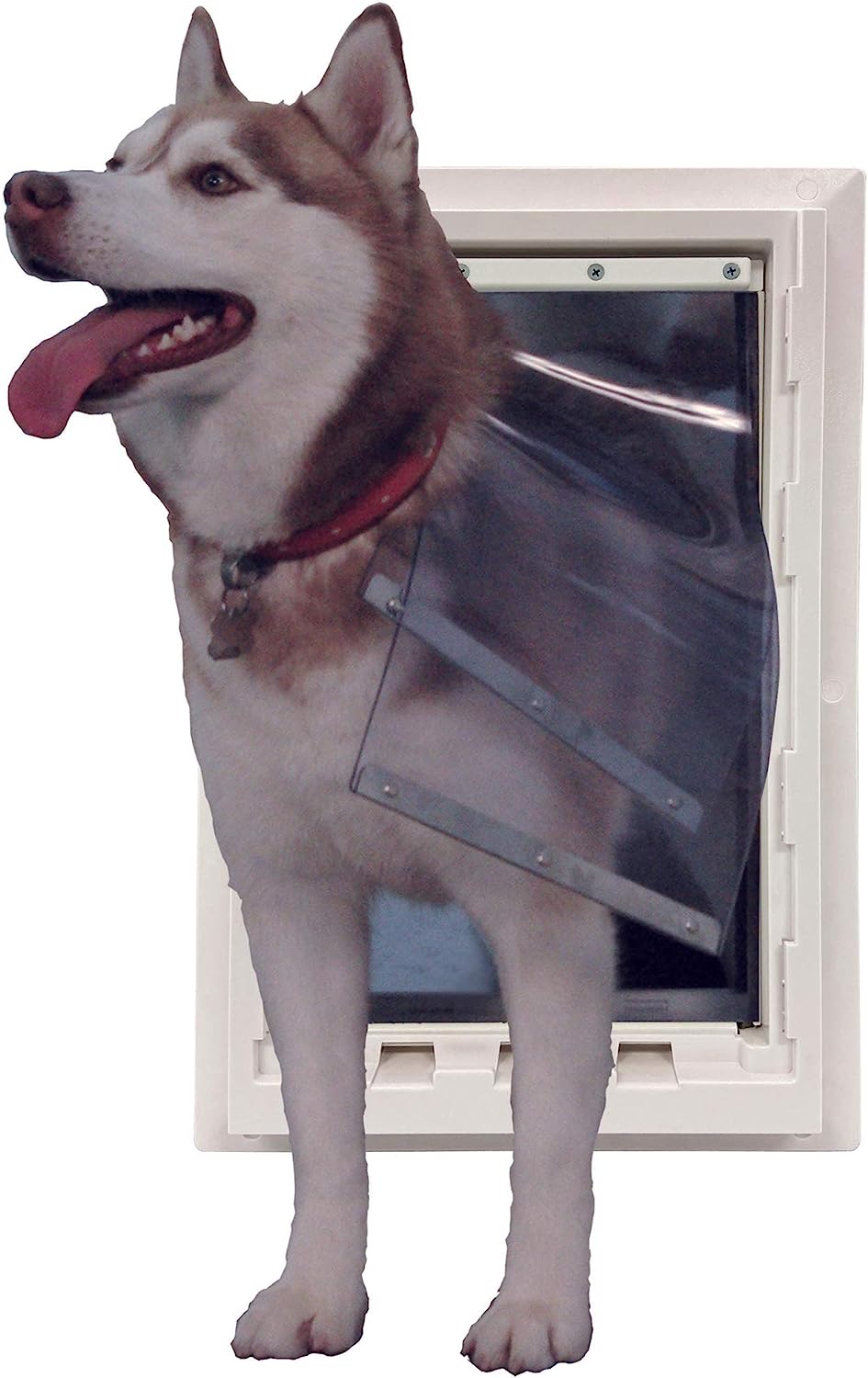 Ideal Pet Products Wall Entry Pet Door Double Flap for [...]
