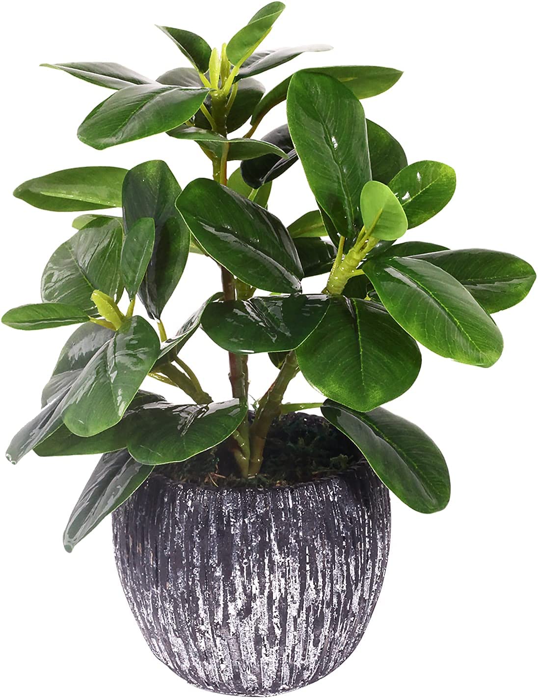 Artificial Potted Plant, Real Touch Artificial Oak [...]