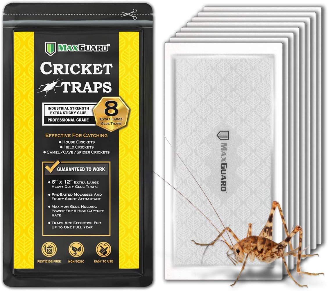 MaxGuard Extra Large Cricket Traps (8 Traps) | Non- [...]