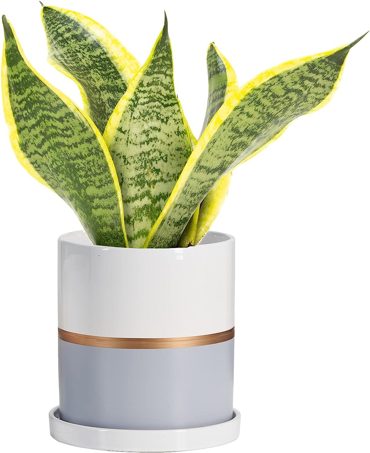 Ekirlin 5 inch Plant Pot - Ceramic Flower Planters [...]