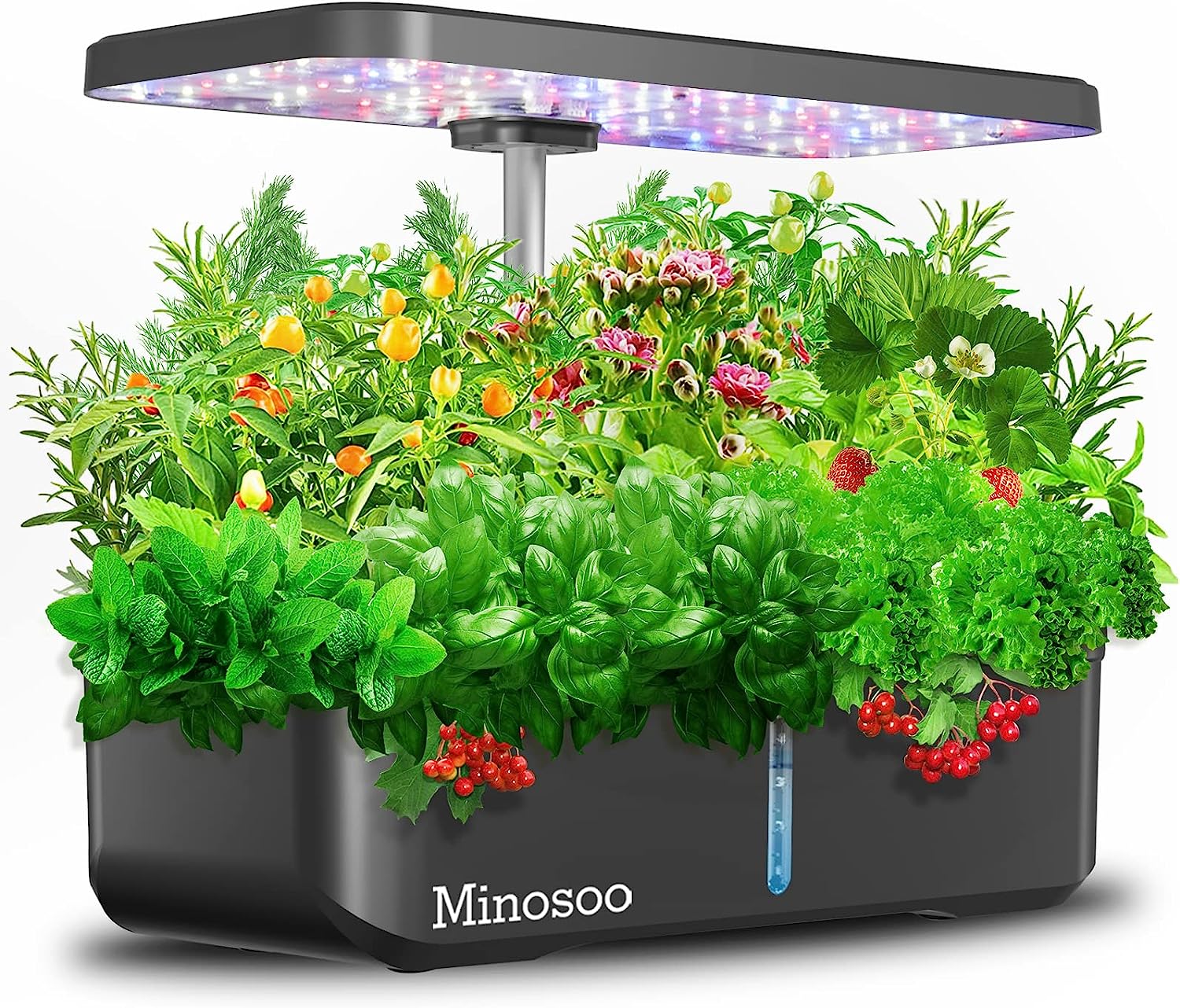 COLIBEN 12 Pods Hydroponics Growing System,Indoor [...]