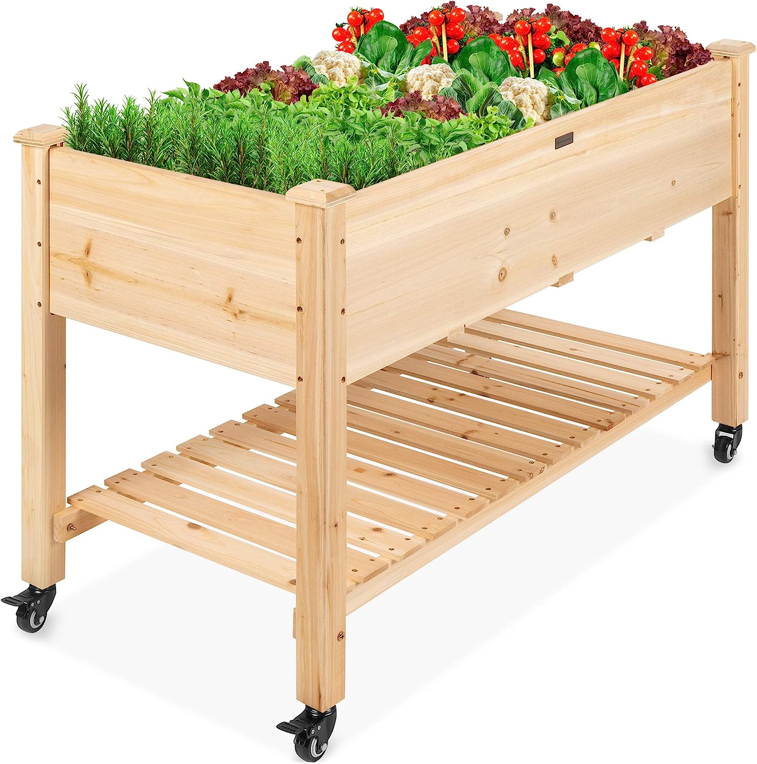Best Choice Products Raised Garden Bed 48x24x32-inch [...]