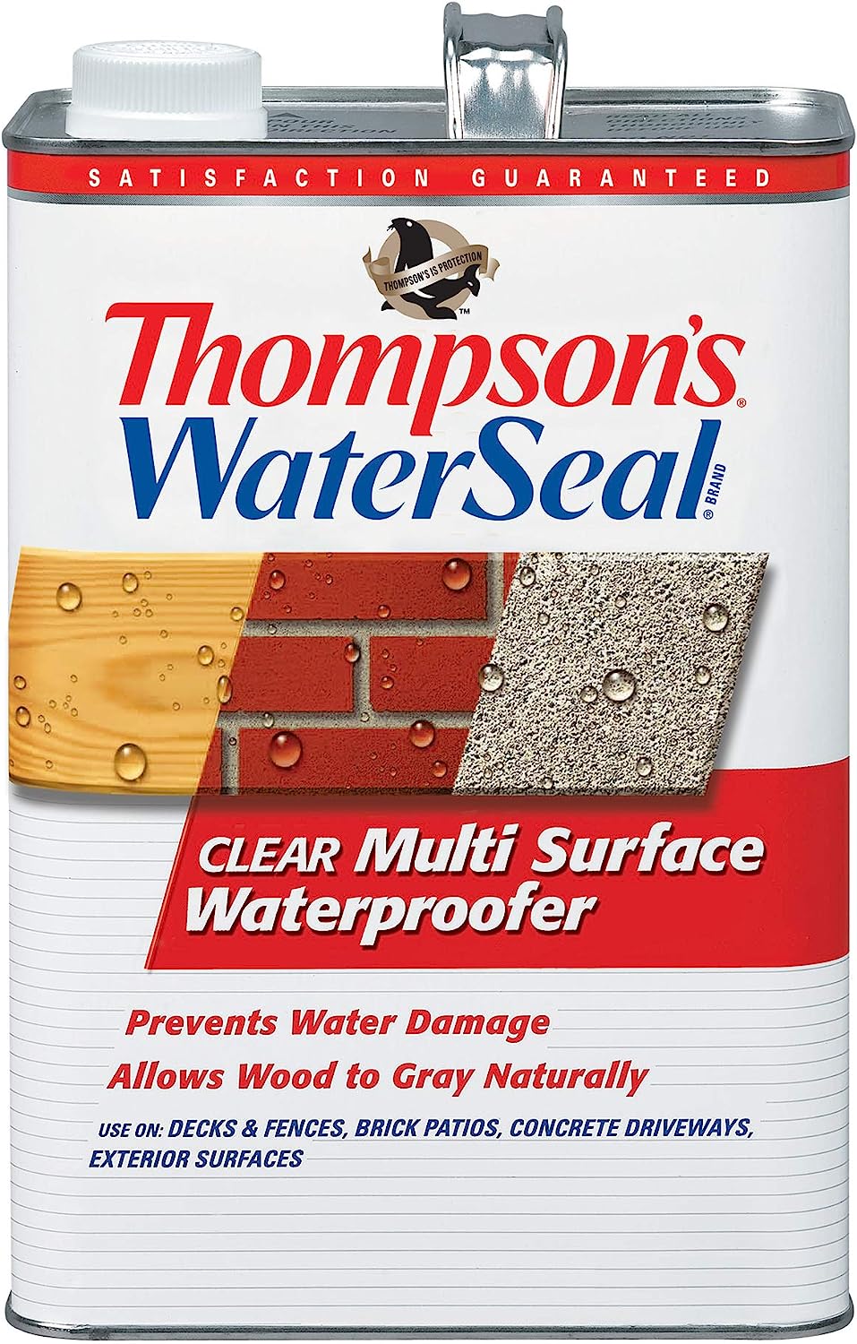 Thompson's WaterSeal TH.024101-16 Multi-Surface [...]