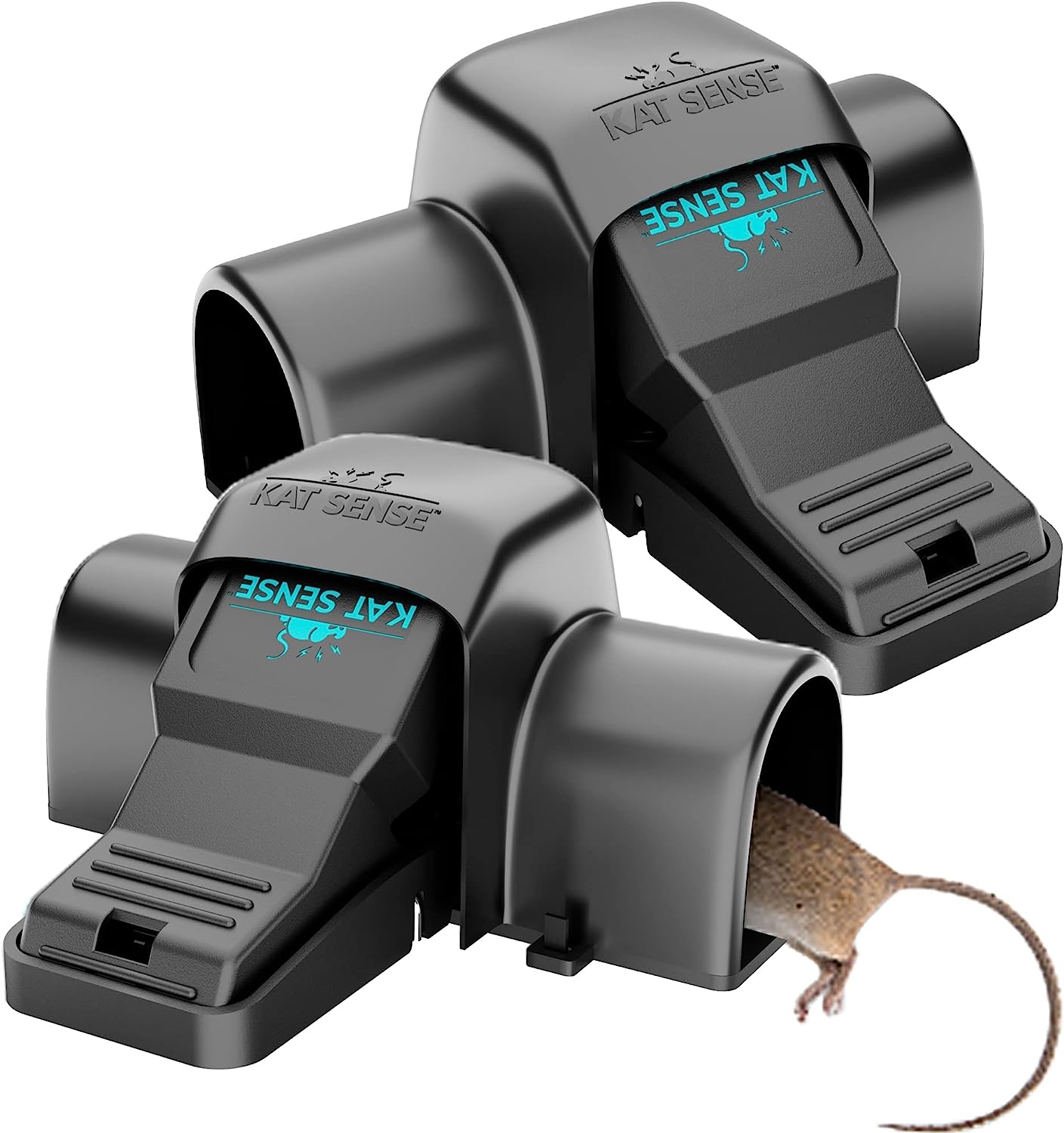 rat traps for home review