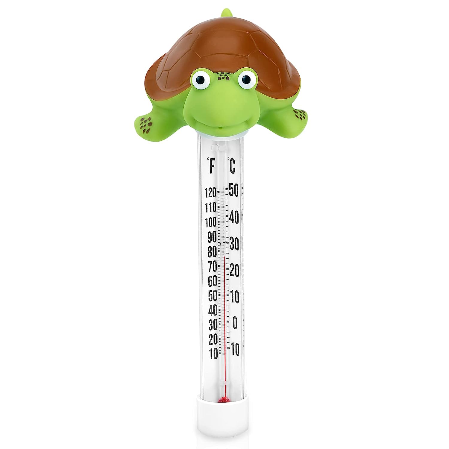pool thermometer review