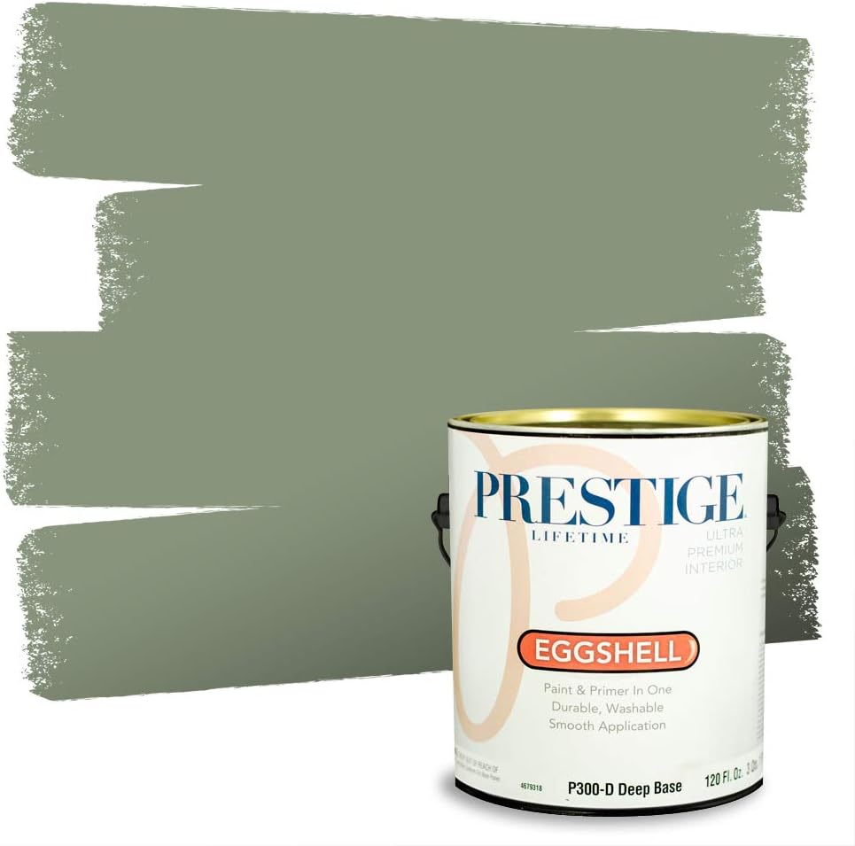 paint color for guest room detailed review