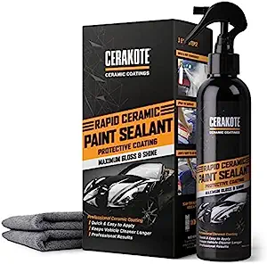 auto paint sealant detailed review