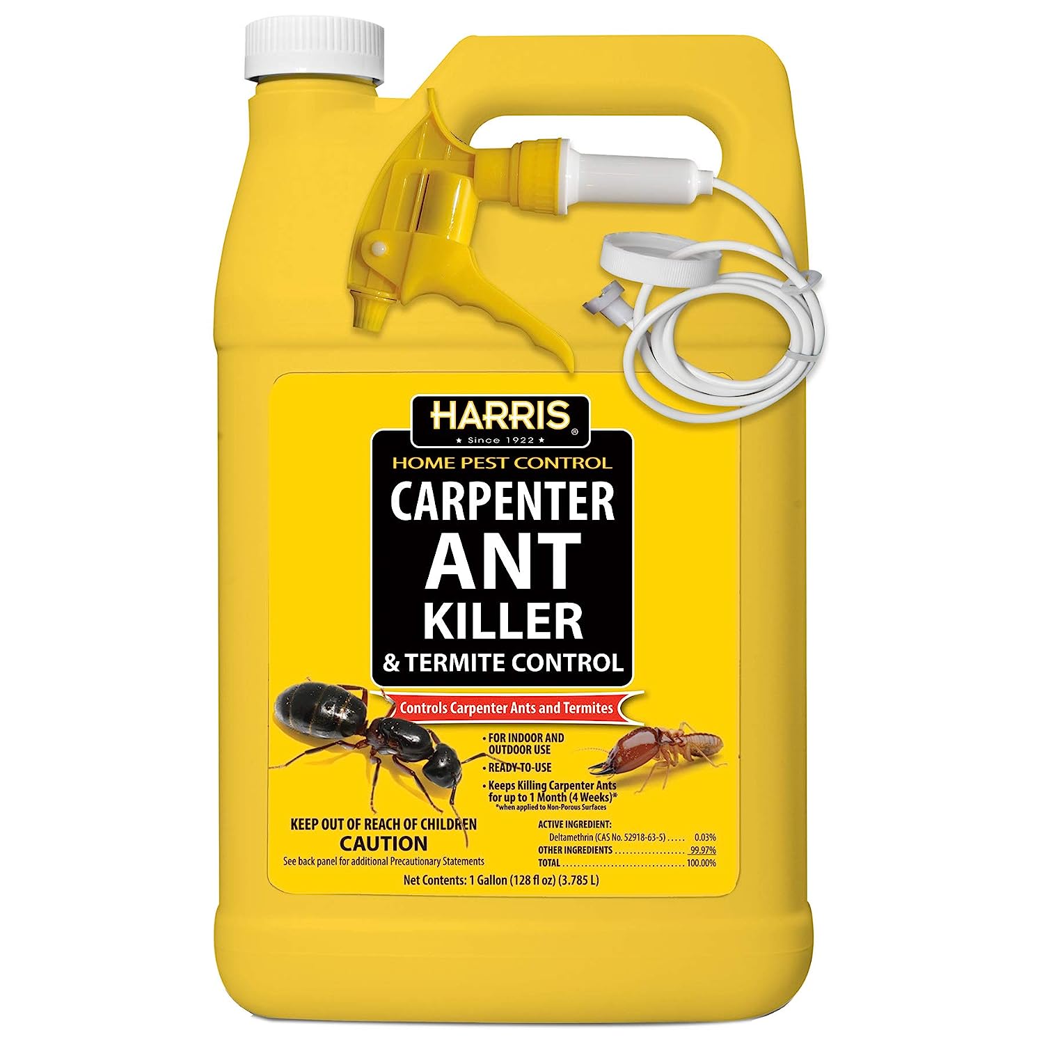 carpenter ant treatment detailed review
