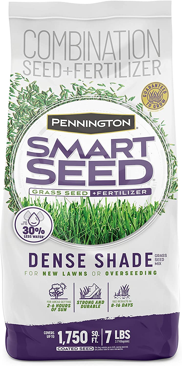 lawn seed for shade detailed review